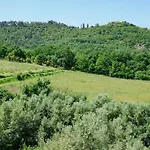 Between Vineyards & Sea Daire