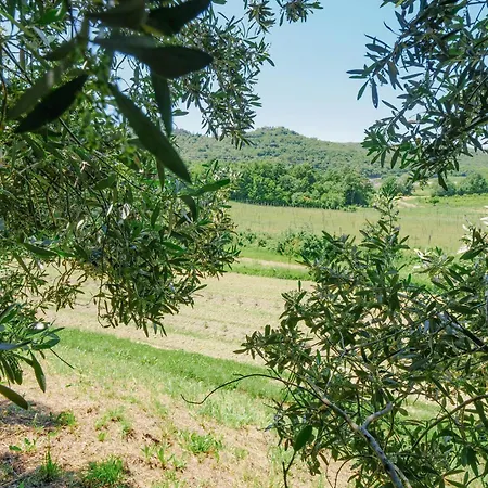 Between Vineyards & Sea