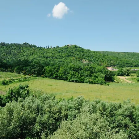 Between Vineyards & Sea *