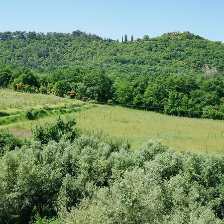 Between Vineyards & Sea Appartamento